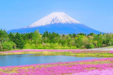 Excursion d’une journée au mont Fuji, Oshino Hakkai avec points de vente ou sources chaudes